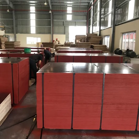 Ván Phủ Phim 1220x2440mm Dày 18mm – Giải Pháp Coppha Bền Bỉ